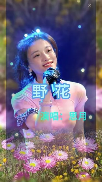 思月演唱野花的封面
