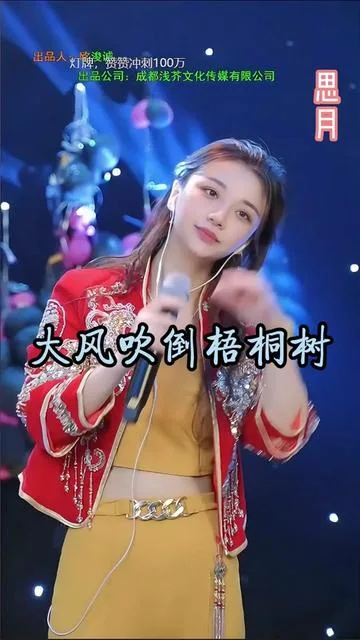 思月演唱大风吹倒梧桐树的封面